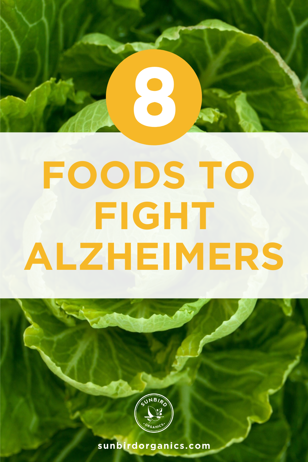 Foods that fight alzheimers