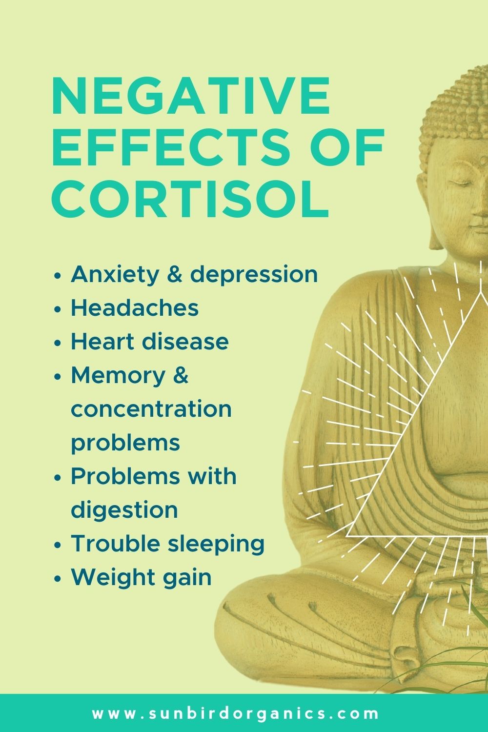 Negative effects of cortisol