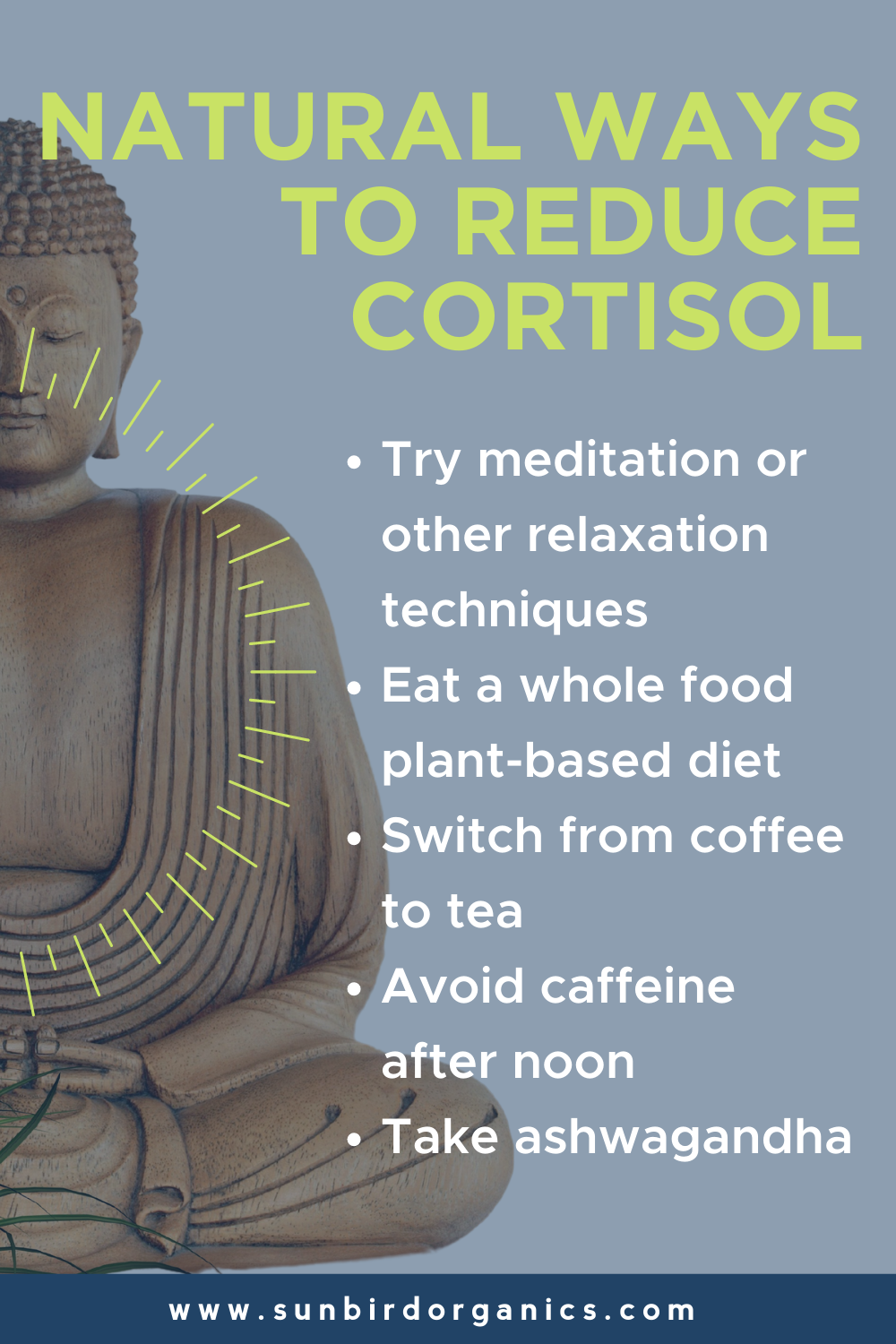 Natural Ways to Reduce Cortisol