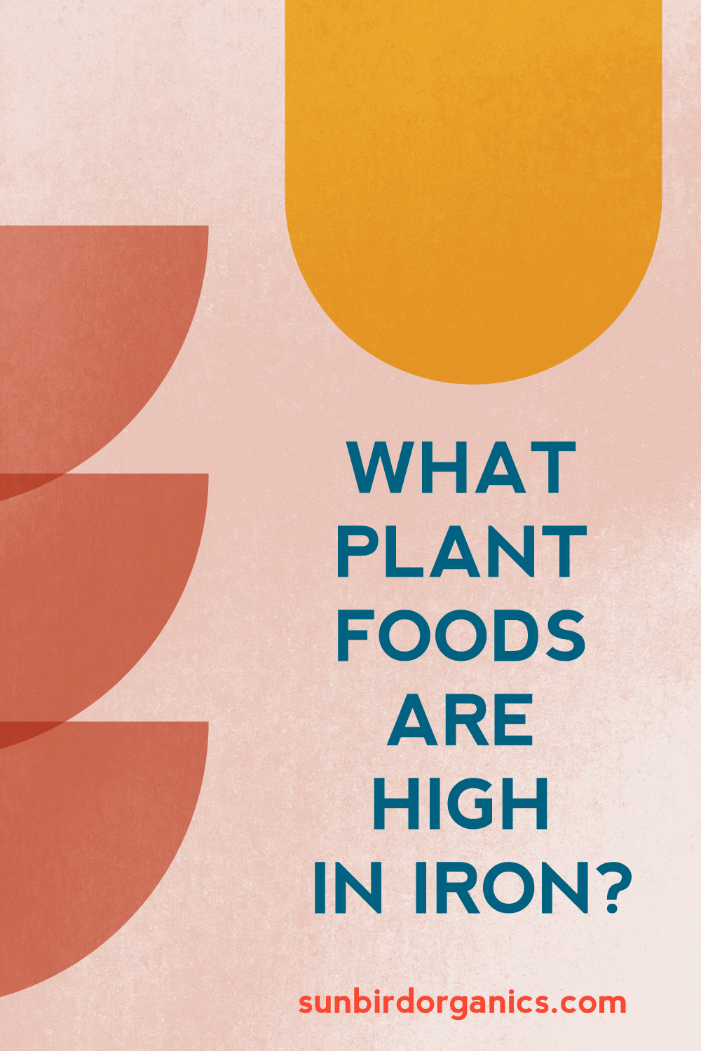 What plant foods are high in iron