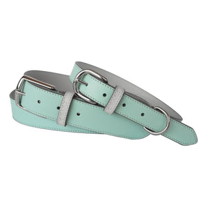 matching dog collars