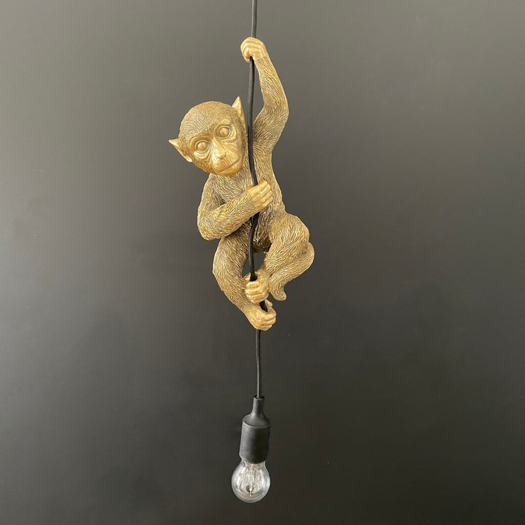 monkey ceiling light