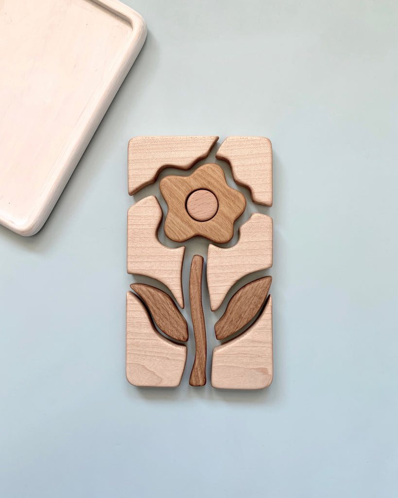 handmade wooden puzzle