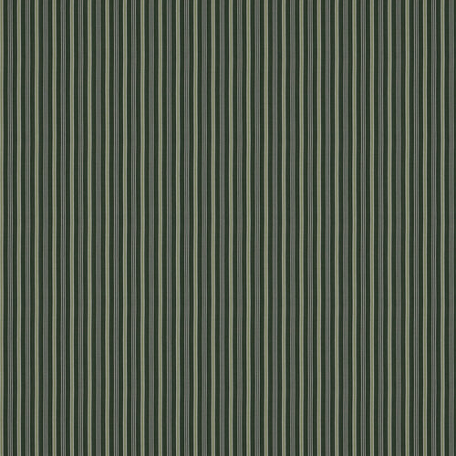 Ticking Stripe Field Fabric · Penny Morrison