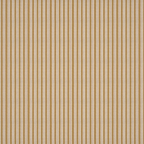 Sketched Stripe Gold Fabric