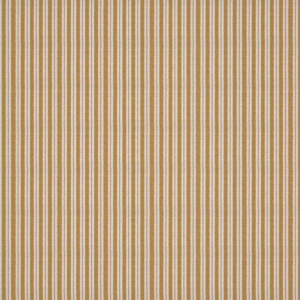 Sketched Stripe Gold Fabric 1