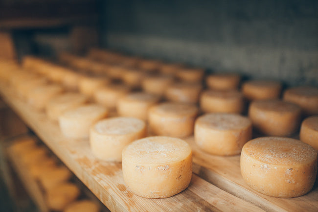 Rohmilchkäse und Rohmilch – Die Besonderheiten