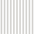Grey Striped