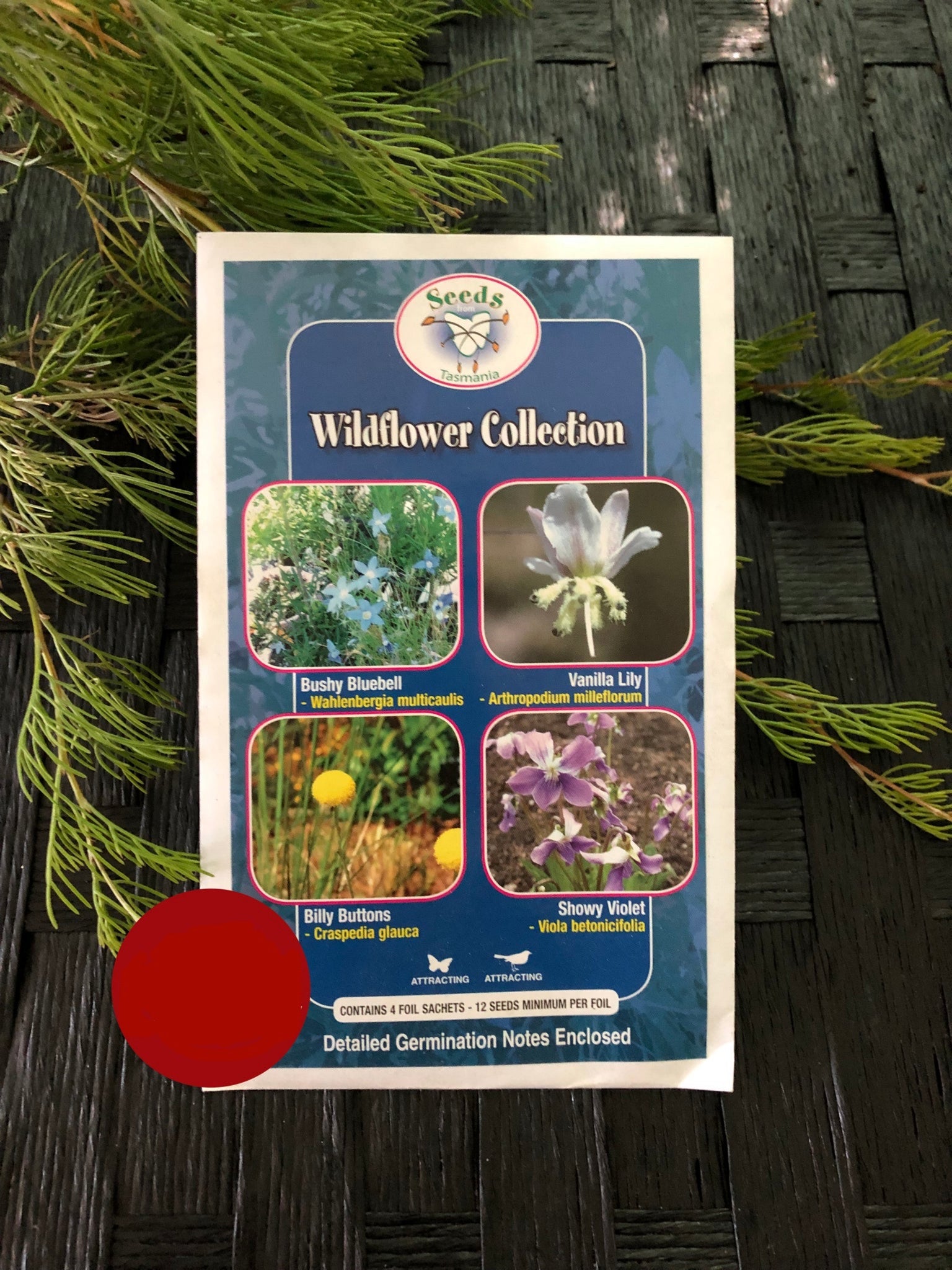 Seeds from Tasmania - Wildflower Collections – The Native Shop
