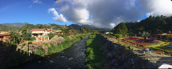 Bouquete - home of the geisha