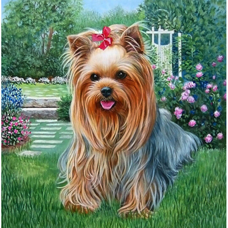 Yorkie, Yorkshire Terrier, DIY Diamond Painting Kit – Diamond Painting