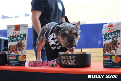 Pittsburgh Pirates and Bully Max Join Forces to Bring Pup Nights