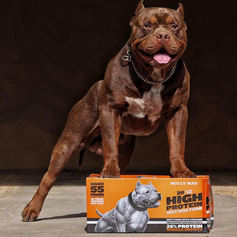 best dog food for pitbulls