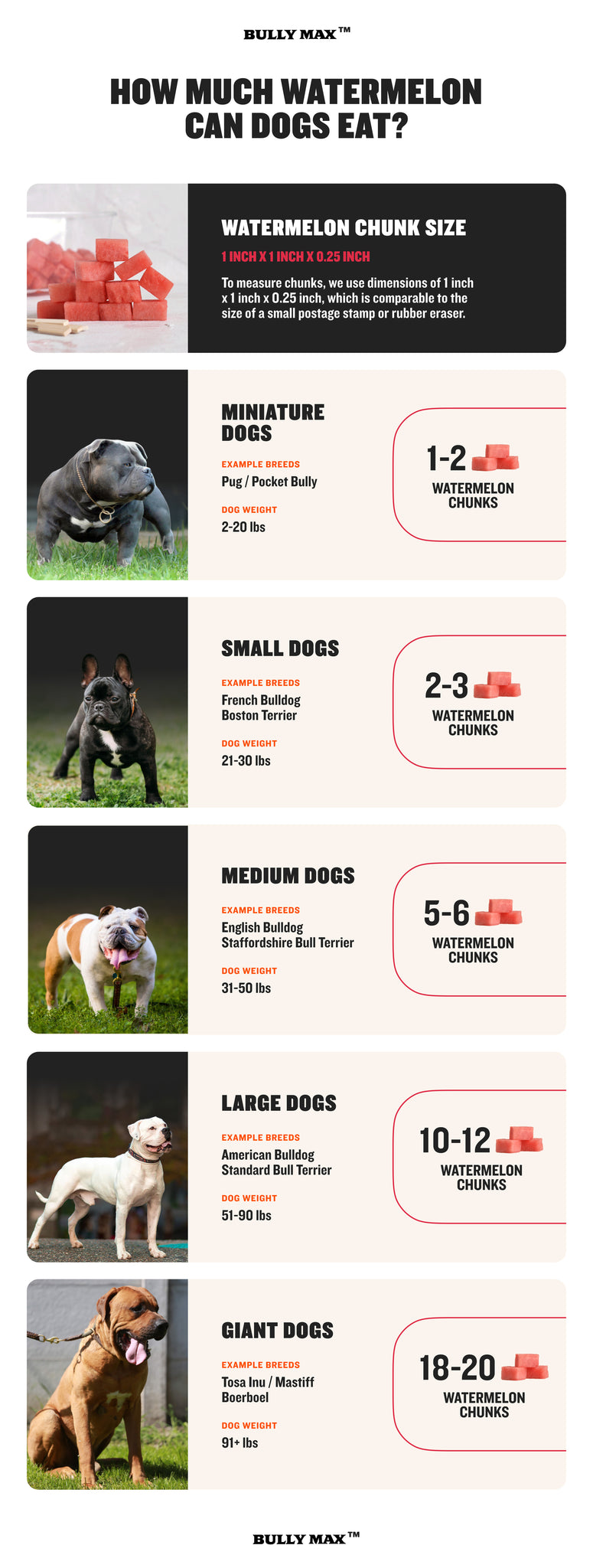 How Much Watermelon Can Dogs Eat Infograph