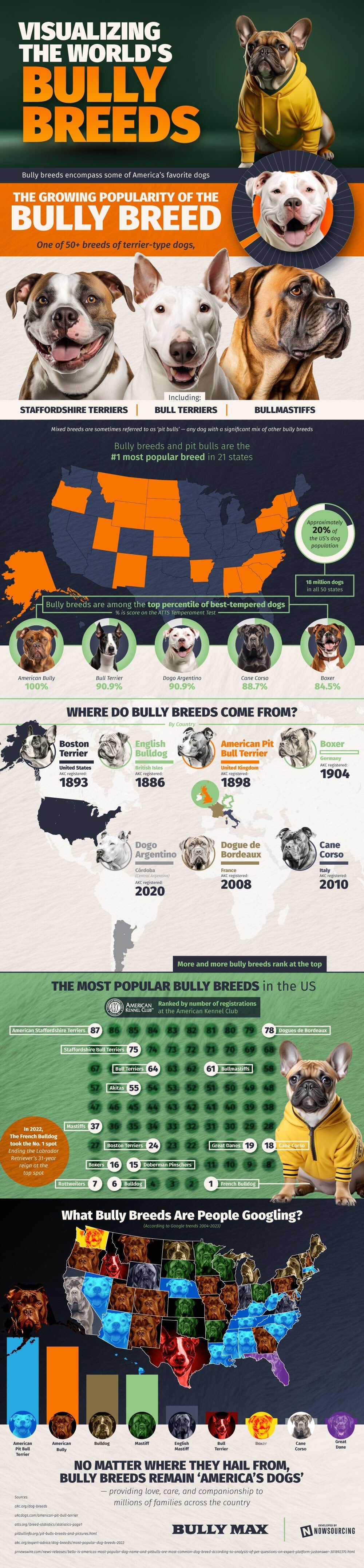 The Most Popular Bully Breeds in the United States