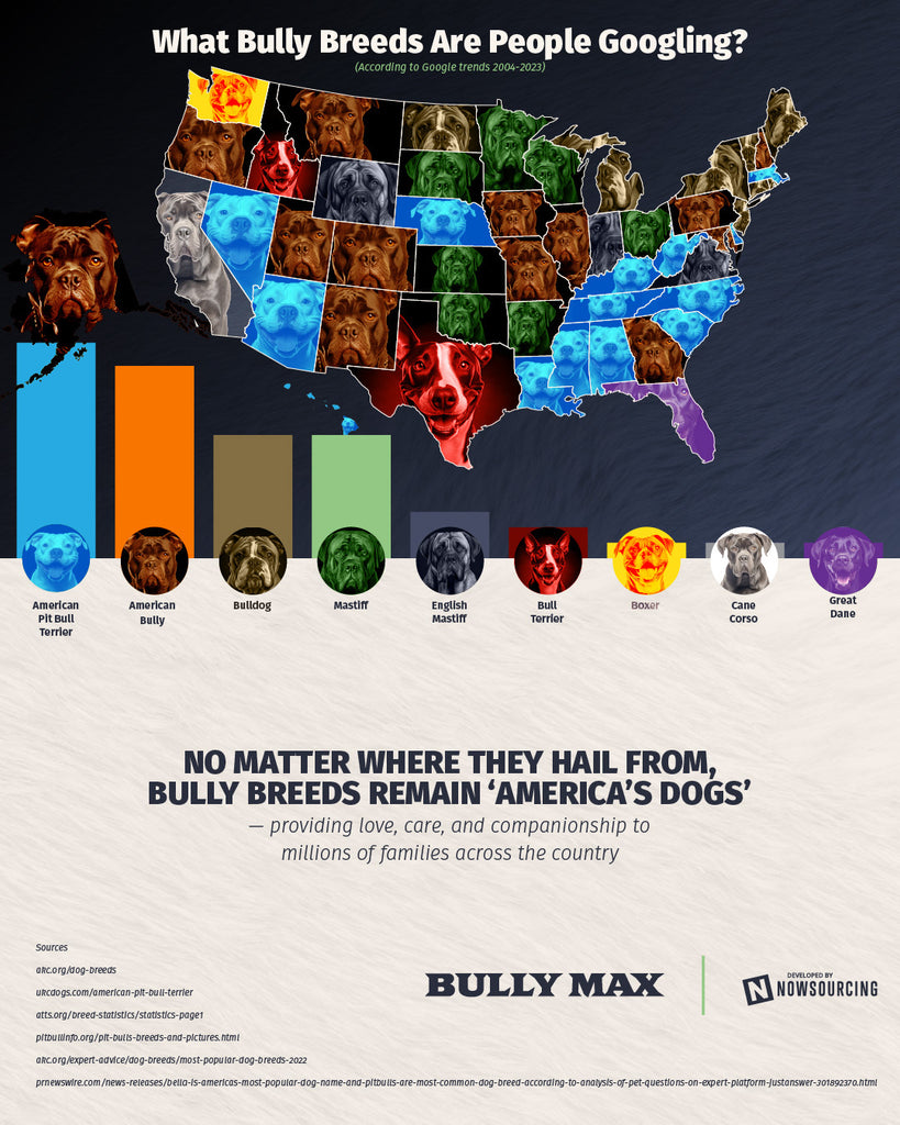 research bully breeds