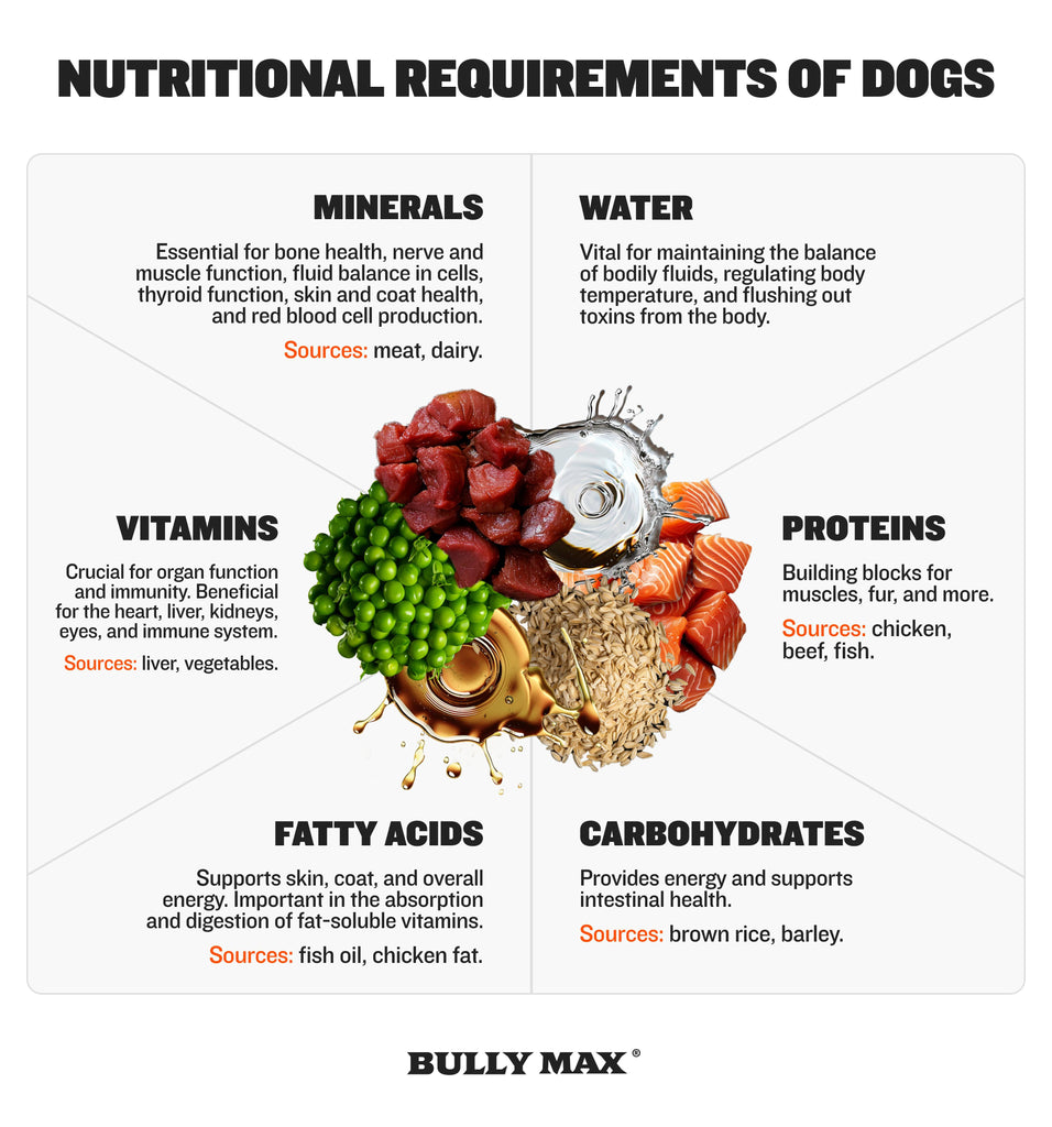 nutritional requirements of dogs infographic