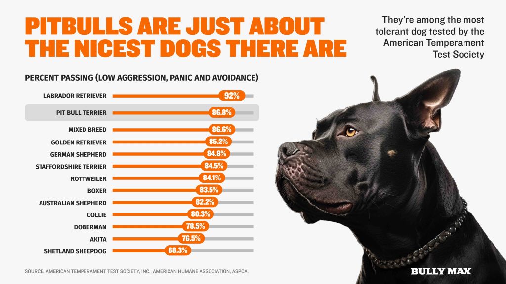 pitbulls-are-nicest-dogs
