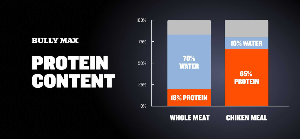 protein percentage rate in dog food