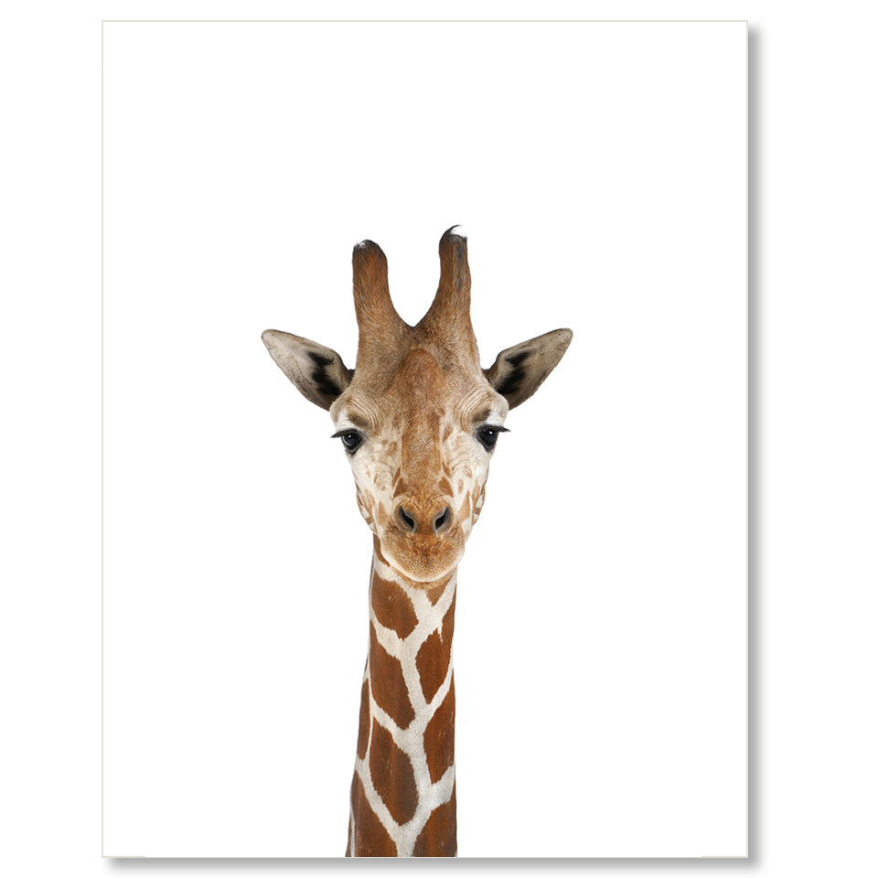 Download Safari Baby Animals Canvas Wall Art Norsehus