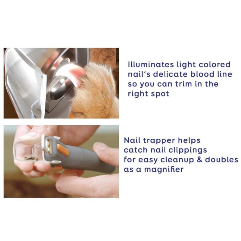 nail clipper with light and magnifier