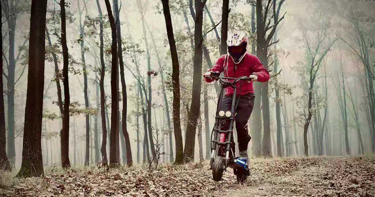 A rider on an electric scooter travels through a forest with bare trees, demonstrating the use of electric scooters in winter landscapes.