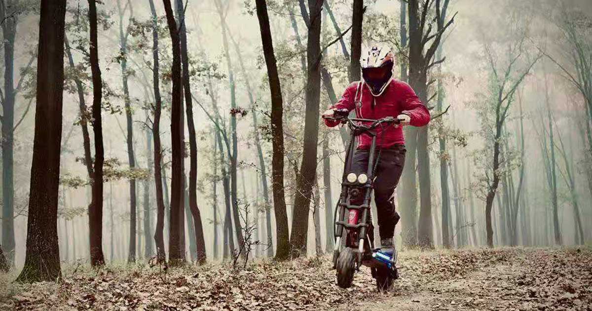 An electric scooter rider traverses a forest trail, showcasing the vehicle's versatility and factors affecting its lifespan.