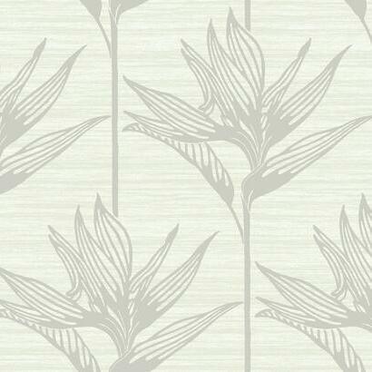 York Wallcoverings AF6581 Willow Branches Wallpaper White, Black, Gold