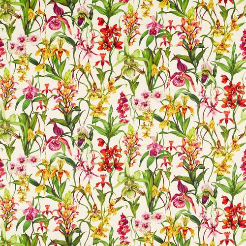 Harlequin Kalina Parchment/Forest/Azalea Fabric | DecoratorsBest