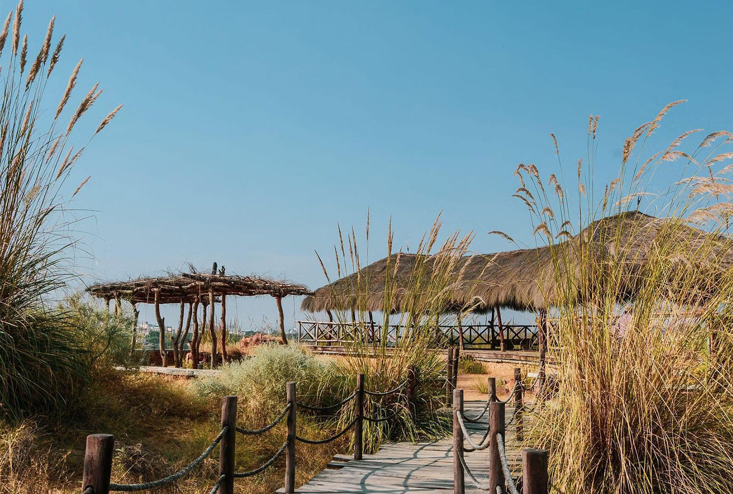  Kishan Bagh Sand Dunes, Jaipur