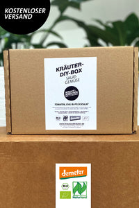 Kräuter-DIY-Box Salat Gemüse