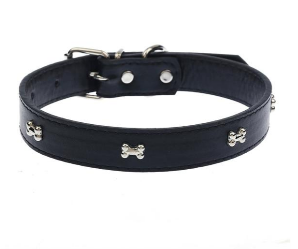 bone dog collar