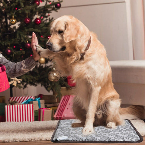 outdoor heated dog bed