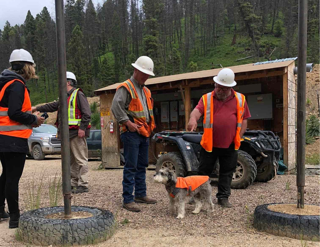 Potentate Sapphire Mine in Montana for Montana Sapphires with Mine Dog