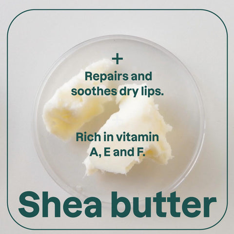 Shea butter texture with written benefits for hydrated lips