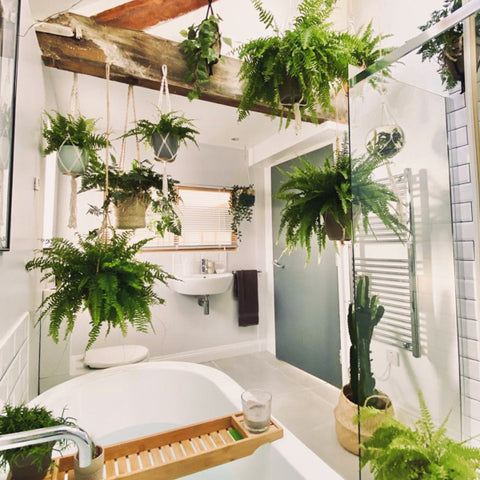 Minimalist bathroom with plants