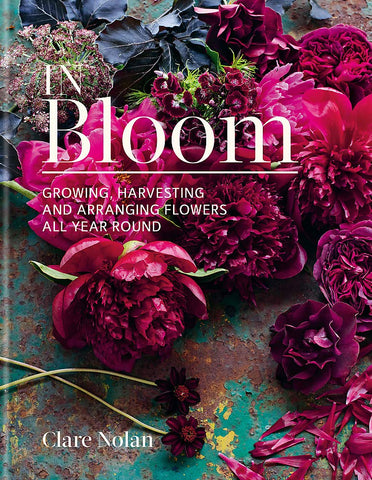 in bloom clare nolan book