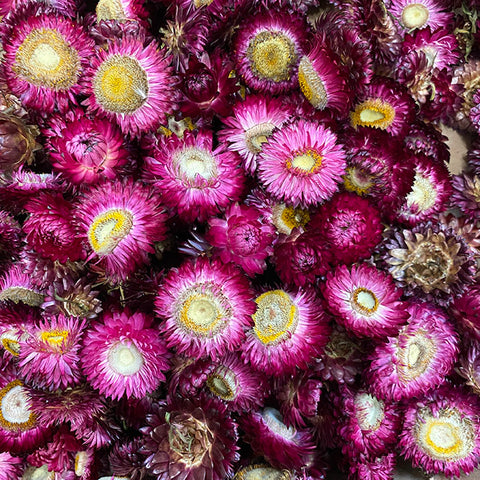 barn florist dried flowers uk