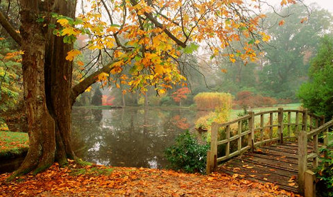 exbury gardens autumn