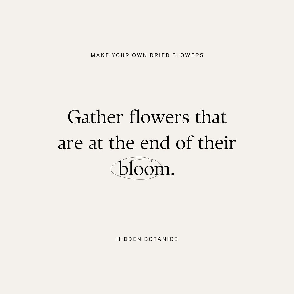 gather flowers