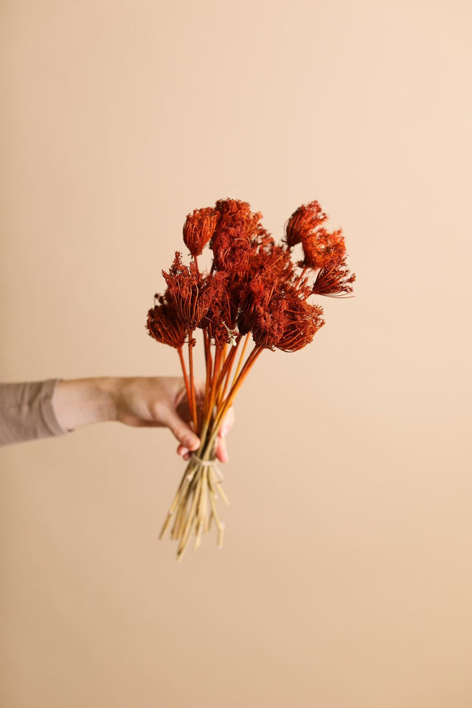Dried flowers - Colorful Nature - Dried bouquet - 70cm – urbanjngl