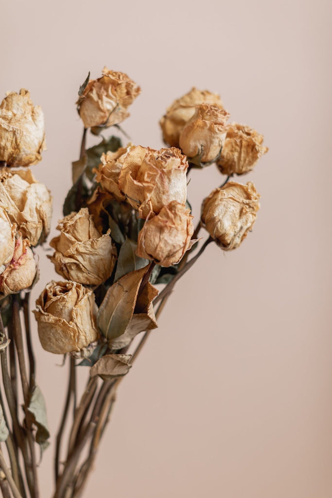 Dried Flower Heart Herbarium Mini Roses Flower Marketplace Dried Florals by  undefined
