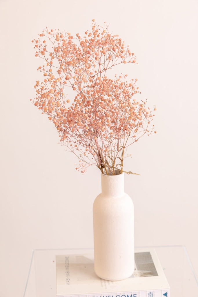 Preserved Baby's Breath Gypsophila - Dark Orange (Medium-to-Large Bloom) –