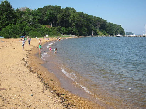 With both saltwater and freshwater beaches, Betterton Beach offers something for everyone. (Credit: Art Anderson on Wikipedia)