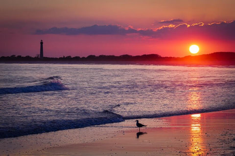 Taking #1 on our list, Cape May is one of the best public beaches in New Jersey.