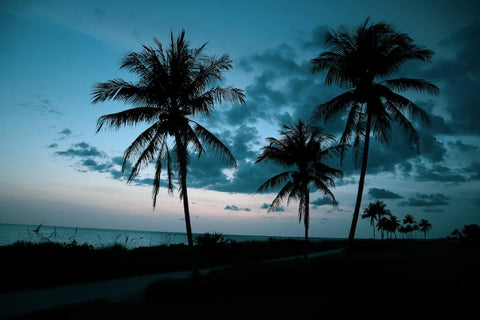 Captiva Island offers unparalleled natural beauty.