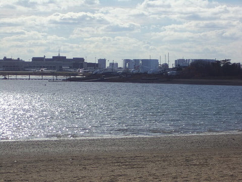 This human-made, crescent-shaped beach is one of the best beaches in Boston for plane watching. (Credit: Jamila Ouriour on Wikipedia)