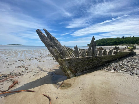 With 350,000 visitors annually and over 1,200 acres of beachfront, Crane Beach has something for everyone.