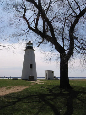 Elk Neck State Park offers miles of trails and beaches. (Credit: Ynsalh on Wikipedia)