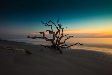 When visiting Jekyll Island, be sure to check out Driftwood Beach.
